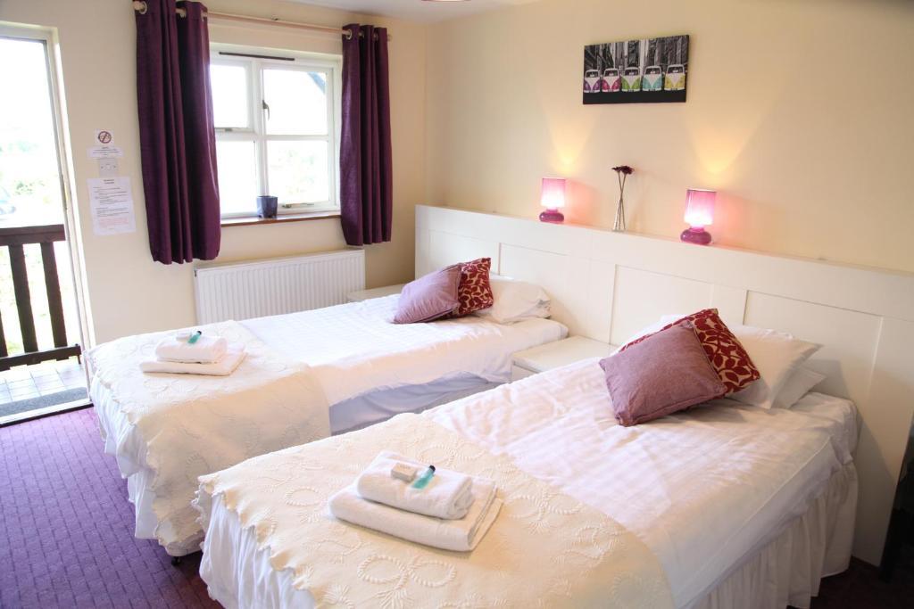 Hanmer Arms Room photo